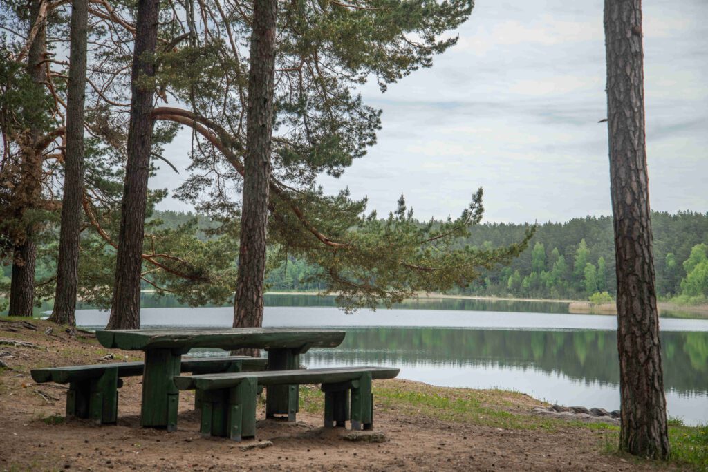 Nemenčinės suoliukai Gelos ežero pakrantėje