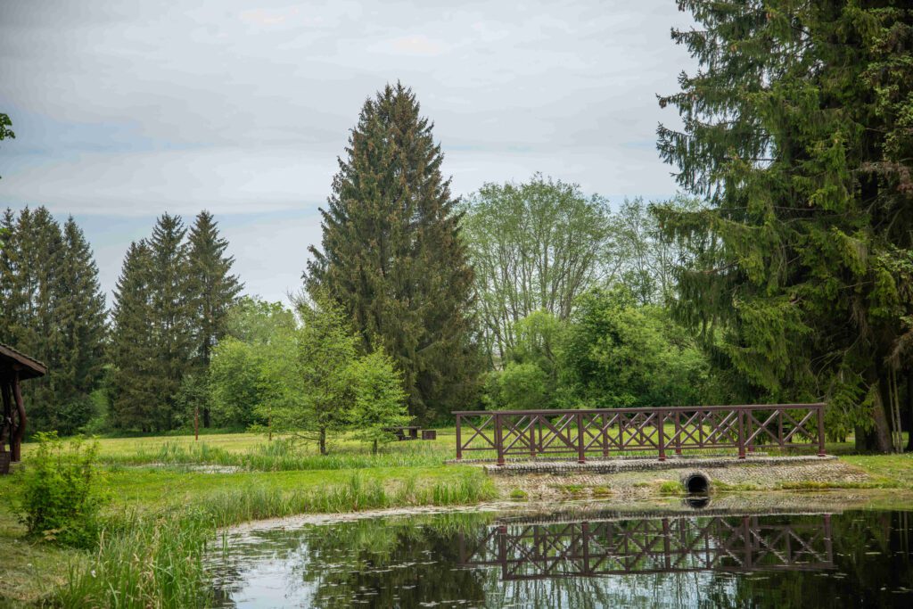 Nemenčinės tvenkinys